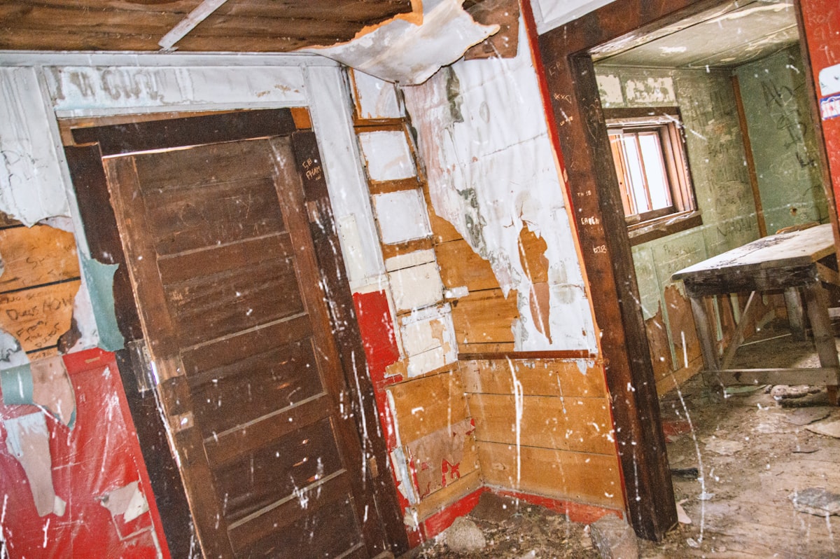 Mold Remediation service in O'Fallon, MO